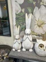 Rabbit with Long Ears - Small
