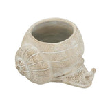 Snail Planter - 210 X 180 X 120