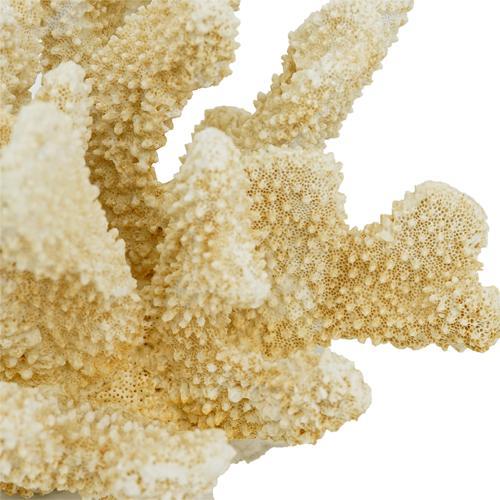 Faux Coral - Natural
