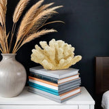 Faux Coral - Natural