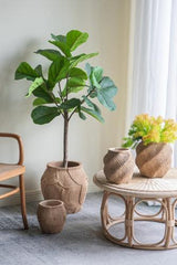 Planter - 205 X 205 X 200