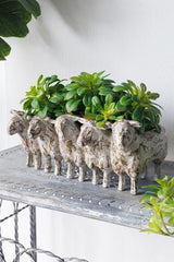 Sheep Planter - 310 X 182 X 130