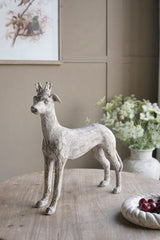 Dog with Crown