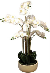 Real Touch Orchid 7 Spray - White with Caesarstone Pot
