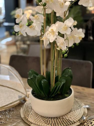 Real Touch Orchid 7 Spray - White with Caesarstone Pot