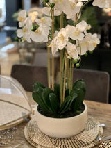 Real Touch Orchid 7 Spray - White with Caesarstone Pot