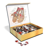Dr. Livingston's Anatomy Jigsaw Puzzle: The Human Hands