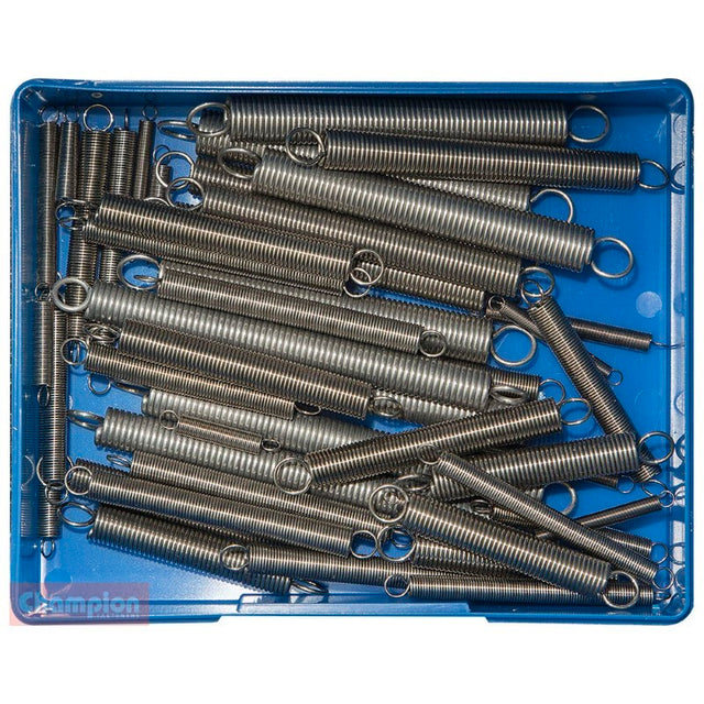 Champion 48pc Extension Spring Assortment with 12 sizes in stainless steel, ideal for DIY and professional projects.