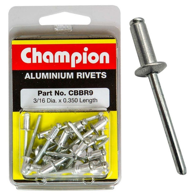 Champion 3/16in x 0.350 Rivet Pack featuring 100 durable rivets for secure fastening in DIY projects and repairs.