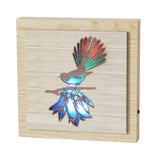 Fantail Colour Changing LED Plaque