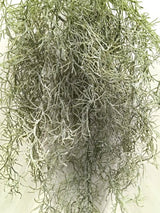 Artificial Airplant Bush (XL)