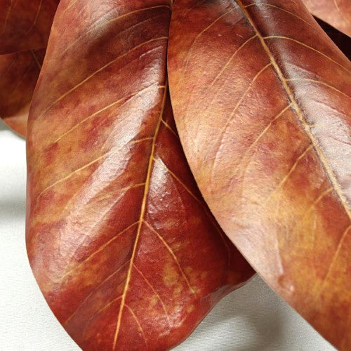 Artificial Magnolia Leaf Spray - X 2 (Large)