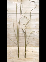 Artificial Horsetail Bundle - X 5 (Brown)