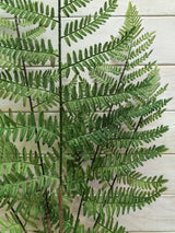 Artificial Boston Fern Bush - Large X 5 (100cm)