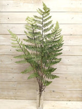 Artificial Boston Fern Bush - Large X 5 (100cm)