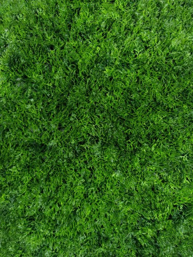 Artificial Grass Moss Mat (50 x 50cm)