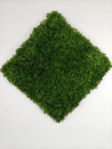 Artificial Grass Moss Mat (50 x 50cm)