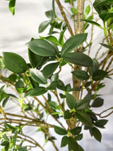 Artificial Wild Camilia Tree (180cm)