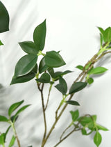 Artificial Wild Camilia Tree (180cm)