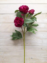 Artificial Peony Spray X 2 - Large (Beauty)