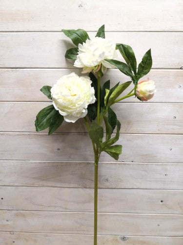 Artificial Peony Spray X 2 - Large (White)