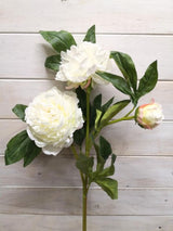Artificial Peony Spray X 2 - Large (White)