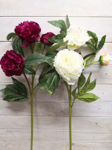 Artificial Peony Spray X 2 - Large (White)
