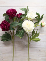 Artificial Peony Spray X 2 - Large (White)