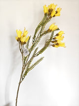 Artificial Long Stem Kowhai Flower (70cm)