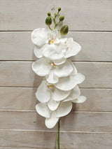 Artificial Phalaenopsis Orchid Spray (White)