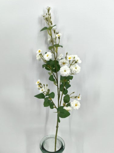 Mini Wild Rose Spray (White)