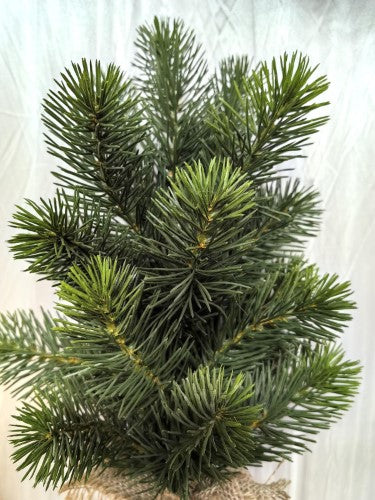 Artificial 18" Green Spruce Pine Tree 47cm
