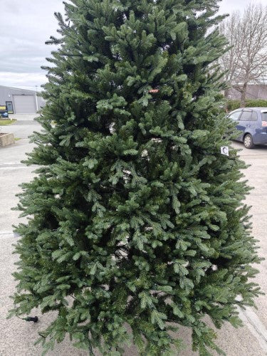 PE & PVC Mixed Pine Tree with 1500 LED Warm Lights - 10242 Tips