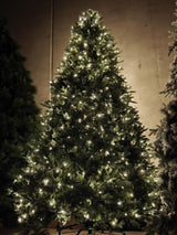 PE & PVC Mixed Pine Tree with 1500 LED Warm Lights - 10242 Tips