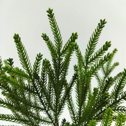 Real Touch Norfork Pine Spray Bundle X 4 (18.5")