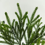 Real Touch Norfork Pine Spray Bundle X 4 (18.5")