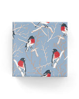 Wrapping Paper - Robins on Matte Wrap French Blue