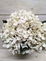 Artificial Hydrangea Bundle (Ivory)