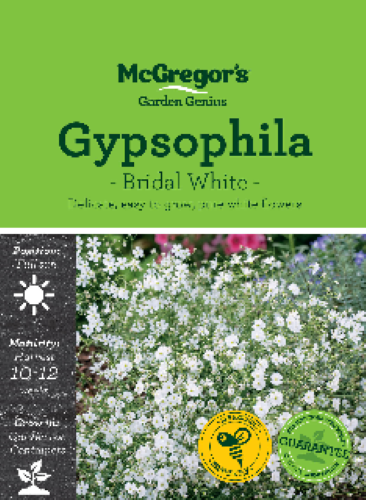 McGregor's Gypsophila Bridal White Seed Packet