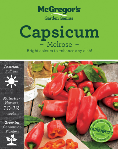 McGregor's Capsicum Melrose Vegetable Seed Packet