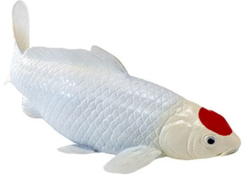 Mojo - Koi Carp - Tancho Koi (red dot) 2025