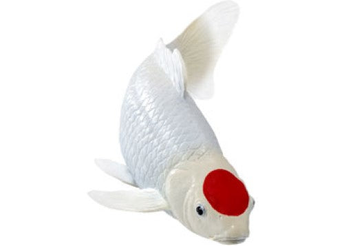 Mojo - Koi Carp - Tancho Koi (red dot) 2025