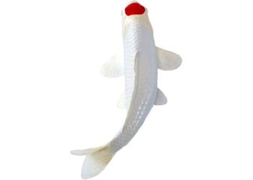 Mojo - Koi Carp - Tancho Koi (red dot) 2025