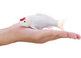 Mojo - Koi Carp - Tancho Koi (red dot) 2025