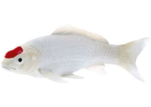 Mojo - Koi Carp - Tancho Koi (red dot) 2025