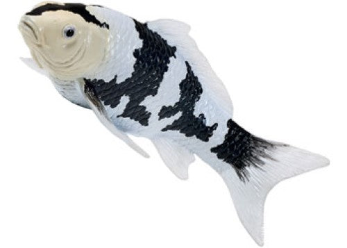 Mojo - Koi Carp - Shiro Utsuri Koi 2025