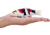 Mojo - Koi Carp - Showa Sanshoku Koi 2025
