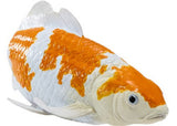 Mojo - Koi Carp - Ochiba Shigure Koi 2025