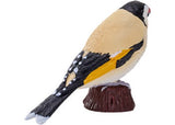 Mojo - European Goldfinch 2025