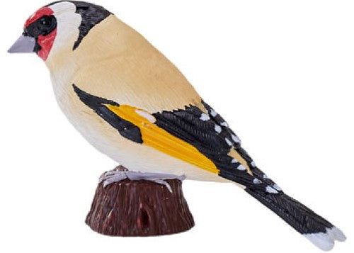Mojo - European Goldfinch 2025
